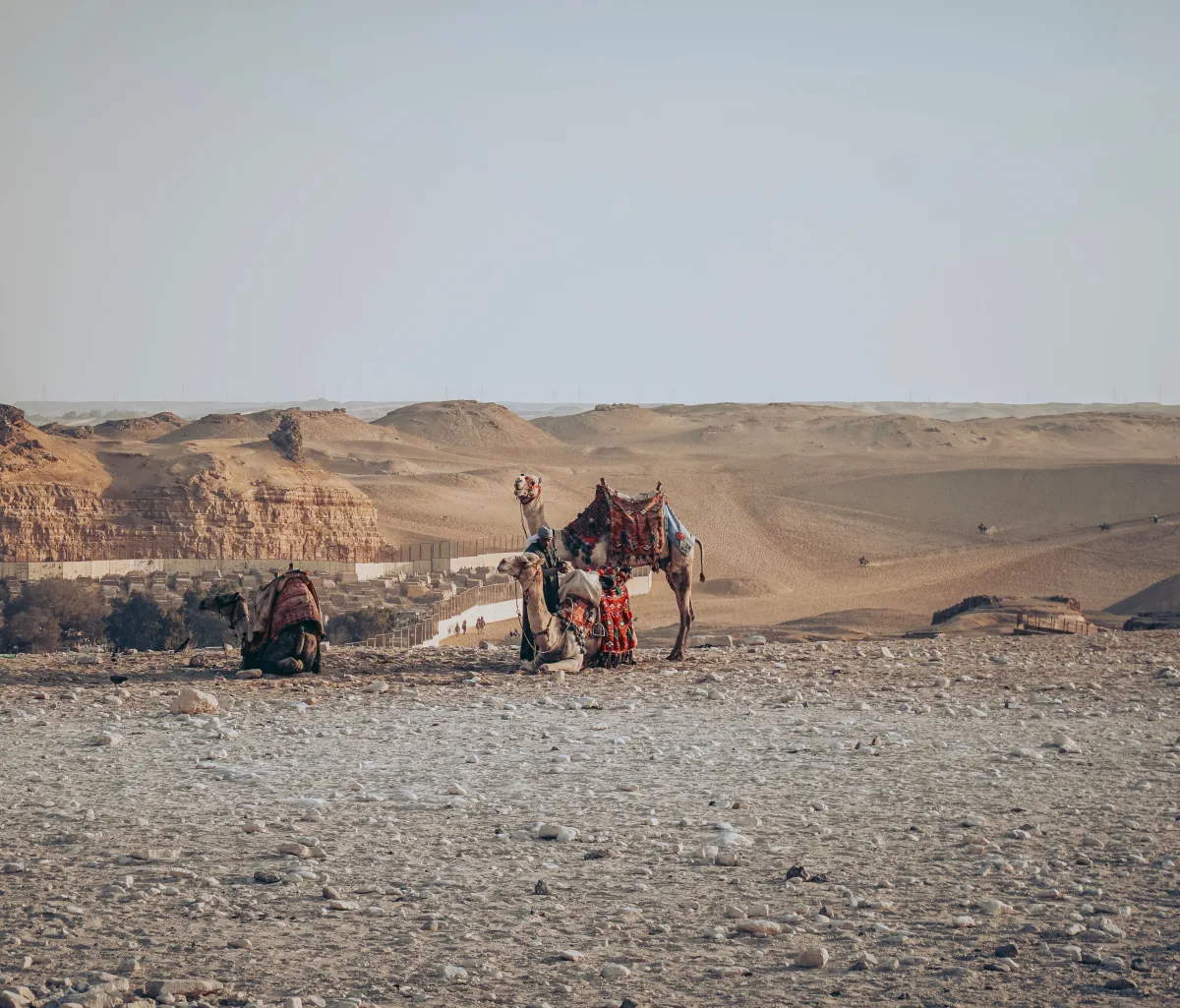 Overnight Desert Camps